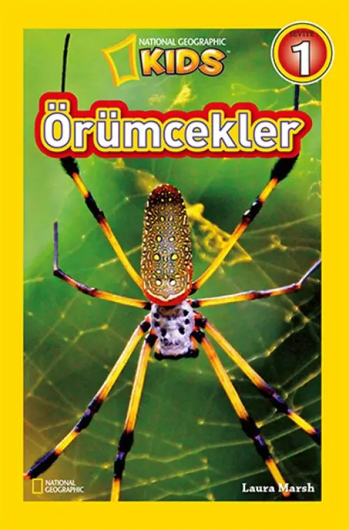 Kids - Örümcekler