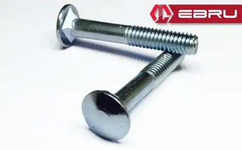 Ebru Kasa Civata 5/16x40 - 100 Adet