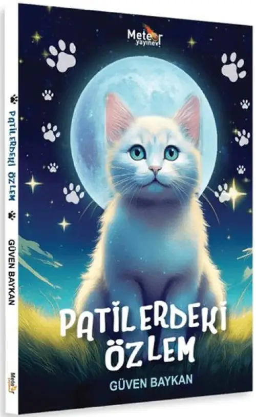Patilerdeki