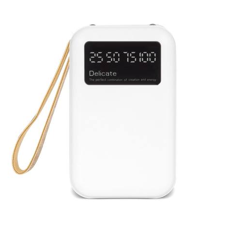 BayCHIP Powerbank 10000 mAh